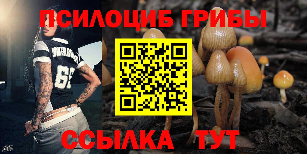 Галлюциногенные грибы Psilocybe  Вход с VPN  Псилоцибиновые грибы Cubensis  Дюртюли 